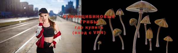 стаф Слюдянка