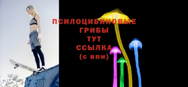 дурь Семилуки