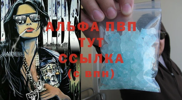 стаф Снежногорск