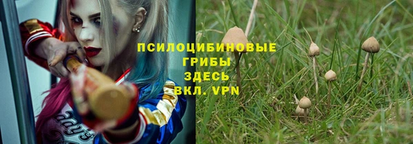 дурь Семилуки