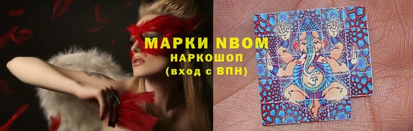 стаф Снежногорск