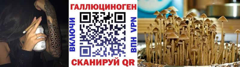 Купить закладки  Жигулёвск  Галлюциногенные грибы Cubensis 